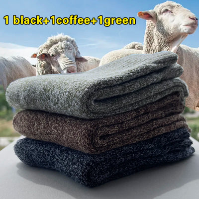 3 Pairs Winter Warm Thick Towel bottom Man Socks Wool Socks Slipper 39-44