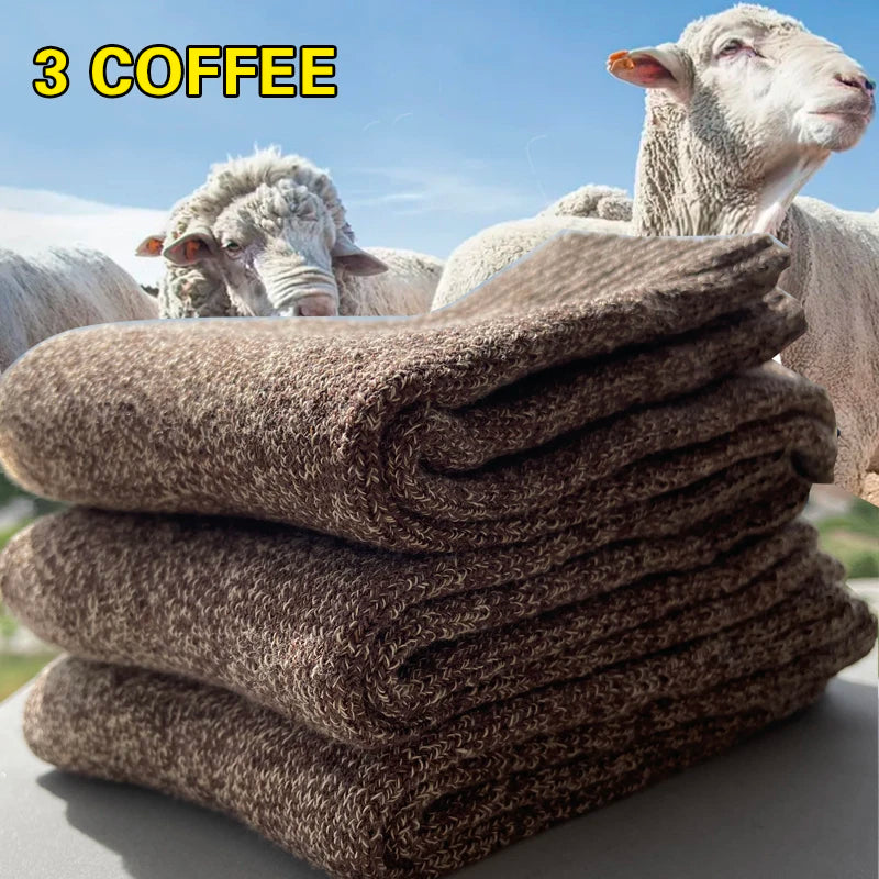 3 Pairs Winter Warm Thick Towel bottom Man Socks Wool Socks Slipper 39-44