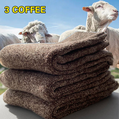 3 Pairs Winter Warm Thick Towel bottom Man Socks Wool Socks Slipper 39-44